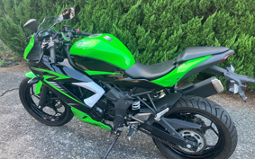 KAWASAKI Ninja 250SL BX250A