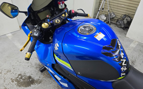 SUZUKI GSX-R1000R 2019 DM11A
