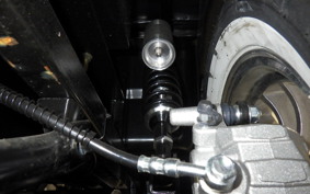 OTHER +UNREGISTERED MODEL by BDS125 TRIKE