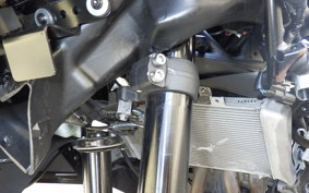 KAWASAKI ZX-4R SE 2025 ZX400P