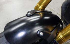 TRIUMPH SPEED400 2024