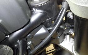 TRIUMPH TIGER 900 GT PRO 2025