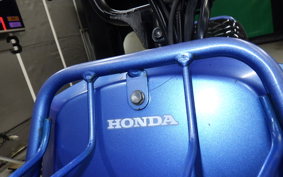 HONDA ZOOMER