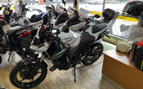 KAWASAKI Z250 EX250P
