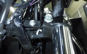 SUZUKI GIXXER 150 2007 NG4BG