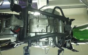 KAWASAKI KLX250D TRACKER X LX250V