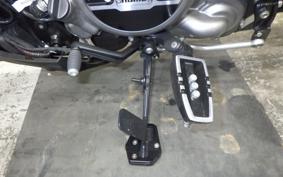HARLEY RH975 2022