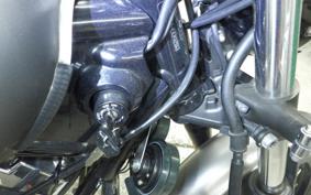 YAMAHA DRAGSTAR 250 2018 VG05J