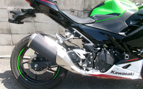 KAWASAKI NINJA 250 KRT ED EX250P