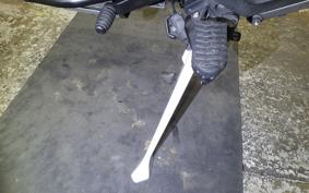 TRIUMPH TIGER 800 2014