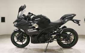 KAWASAKI NINJA 250 2 2019 EX250P