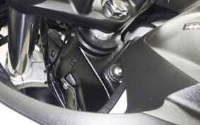 SUZUKI DL650 ( V-Strom 650 ) A 2021 C733A