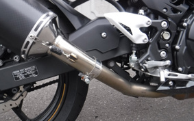 KAWASAKI NINJA 400 2019 EX400G