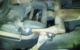 SUZUKI ﾚｯﾂ