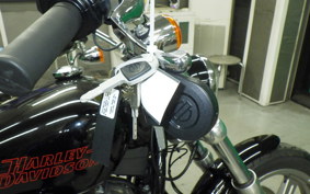 HARLEY FXST1750 2023