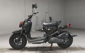 HONDA ZUMAR AF58