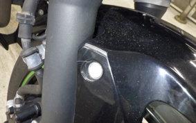 KAWASAKI Z250 SL BR250E