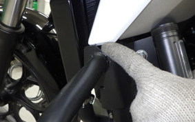 HONDA NC750X DCT 2024 RH09