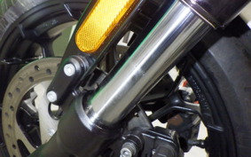 HARLEY XG750 STREET ROD 2020