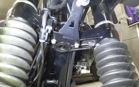 KAWASAKI W800 STREET 2022 EJ800E