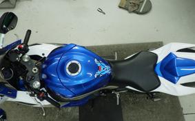 SUZUKI GSX-R1000 2010