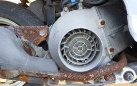 HONDA TODAY 1996 AF61