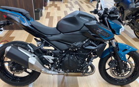 KAWASAKI Z250ABS EX250P