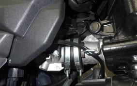 SUZUKI Vｽﾄﾛｰﾑ250SX 2025 EL11L