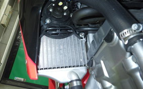 HONDA CRF250L LD 2013 MD44