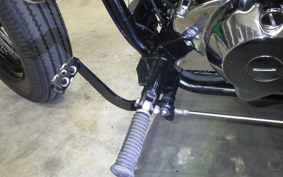 OTHER THUNDER 250 2011