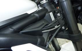 TRIUMPH STREET TRIPLE RS 2019