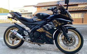 YAMAHA YZF-R15 RG06