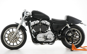 HARLEY XL1200L 2011 CX3