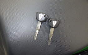 KAWASAKI NINJA 1000 SX 2023 ZXT02K