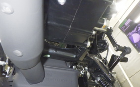 BENELLI レオンチーノ250 2024