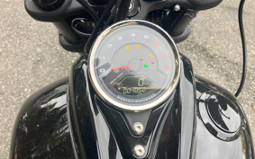 HARLEY  HARLEY FXFBS 2024 YLK