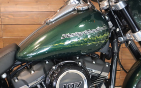 HARLEY FLSB 2019 YMJ