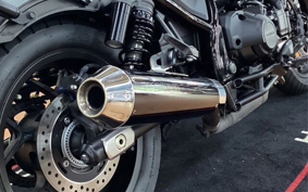 HONDA REBEL 1100 DCT 2023 SC83