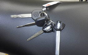 SUZUKI Vｽﾄﾛｰﾑ250A 2021