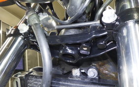 HONDA HORNET 250 2026 MC31