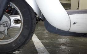 HONDA CREA SCOOPY AF55