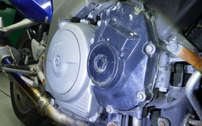 HONDA CBR1100XX 2000