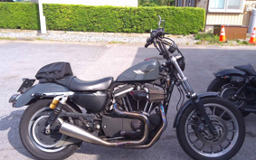 HARLEY XL883R 2009 CS2