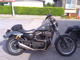 Фото Harley XL883R 2009 с японского аукциона