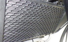 HONDA TRANSALP XL750 2025 RD16