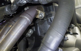 TRIUMPH TIGER 900 GT PRO 2024