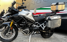 TRIUMPH TIGER 1200 RALLY PRO 2024 TAP20V