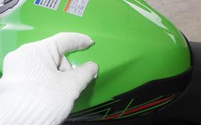 KAWASAKI NINJA 250 2 2018 EX250P