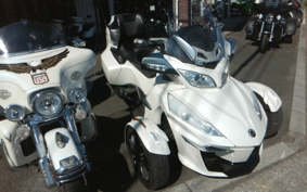 OTHER KANNAMUSPYDER RT-S 2014