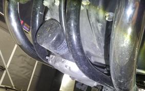 KAWASAKI W800-2ｽﾄﾘｰﾄ 2022